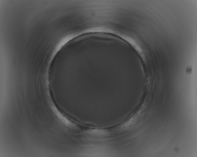 X0000094940998200712131556