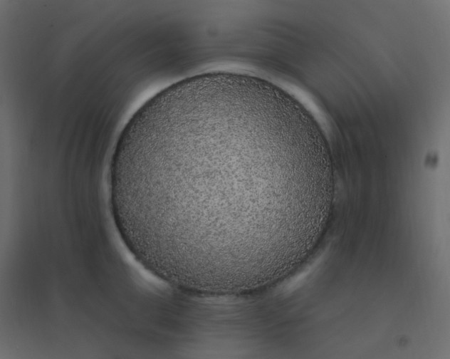 X0000094940999200712131556