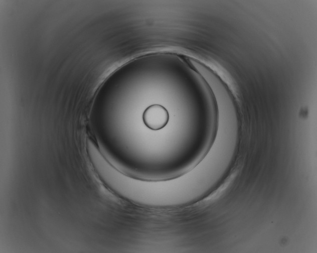 X0000094941001200712131555