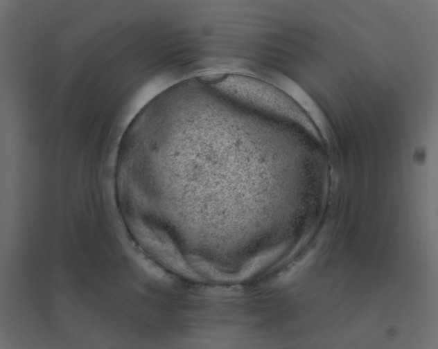 X0000094941002200712131555