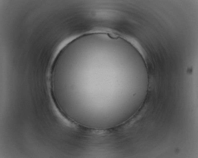 X0000094941003200712131555