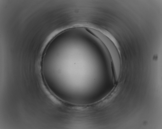 X0000094941005200712131555