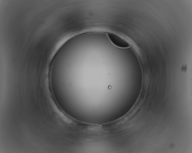 X0000094941006200712131555