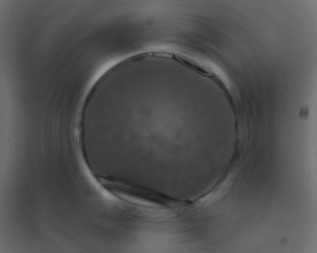 X0000094941007200712131555