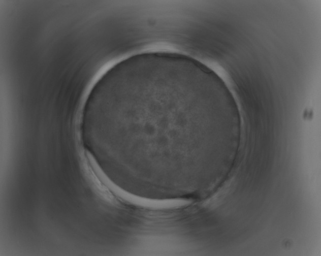 X0000094941008200712131555