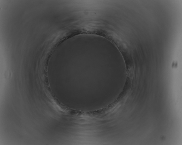 X0000094941009200712131555