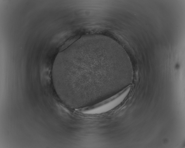 X0000094941010200712131555