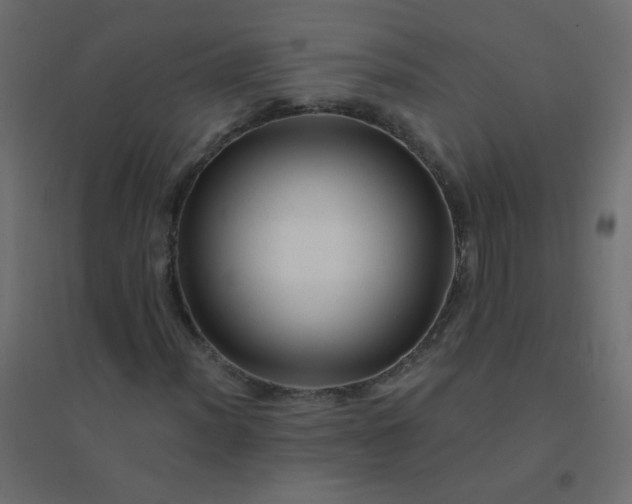 X0000094941012200712131555