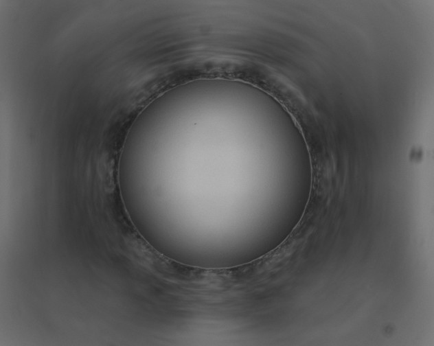 X0000094941013200712131555