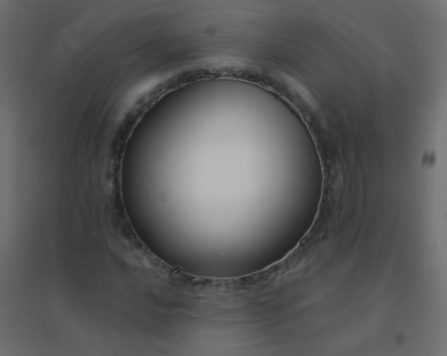 X0000094941016200712131555