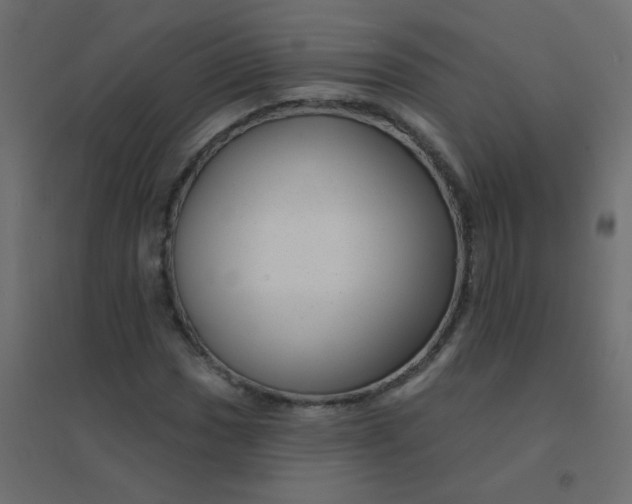 X0000094941017200712131555