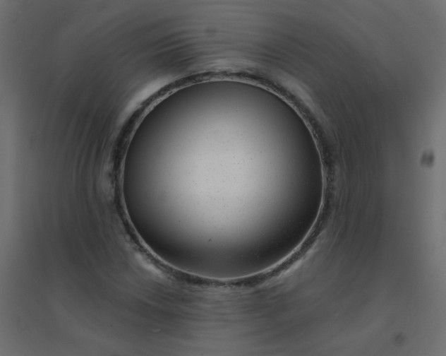 X0000094941018200712131555