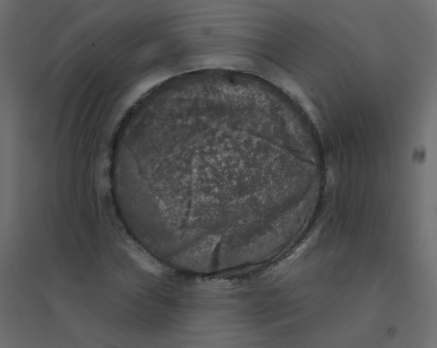 X0000094941019200712131555