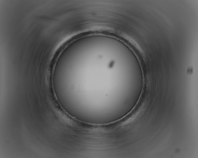 X0000094941021200712131555