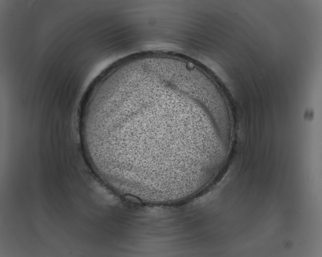 X0000094941022200712131555