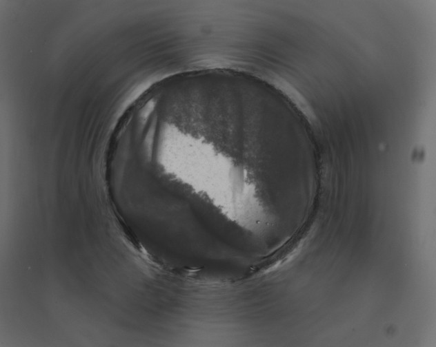 X0000094941023200712131555