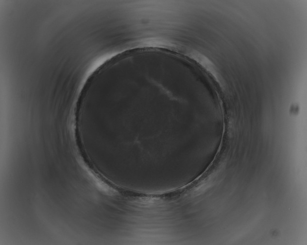 X0000094941024200712131555