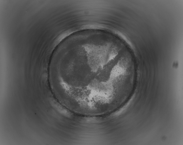 X0000094941025200712131555