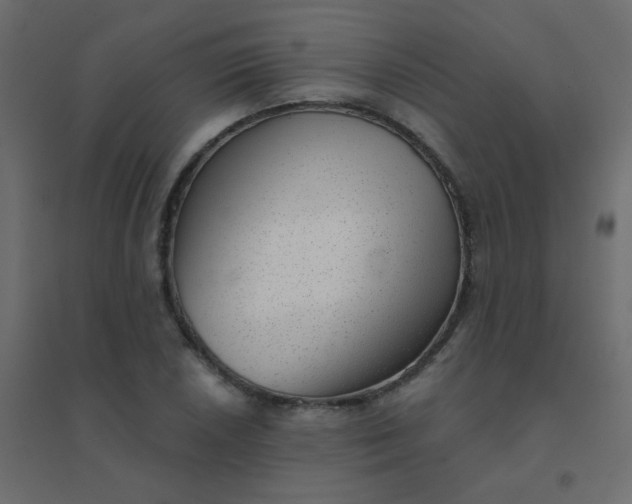 X0000094941026200712131555