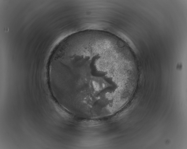 X0000094941027200712131555