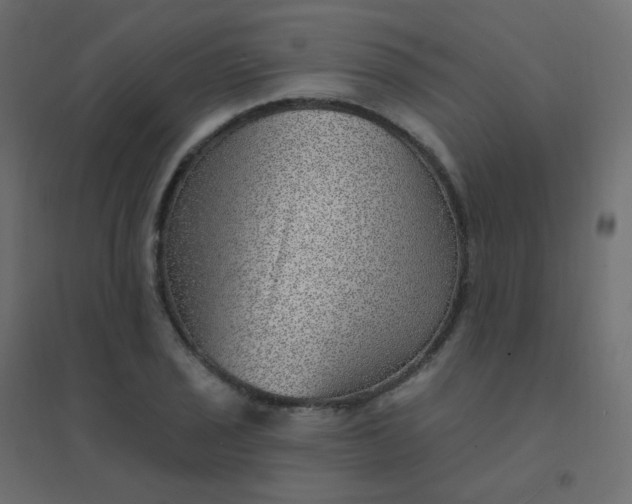 X0000094941029200712131555