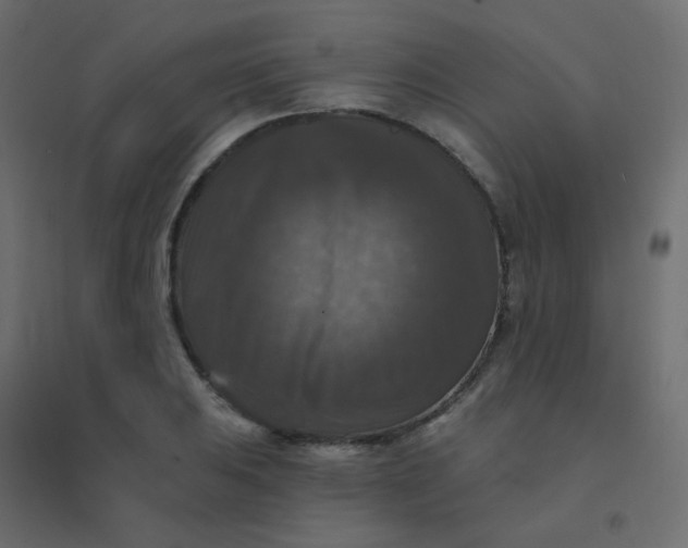 X0000094941031200712131555