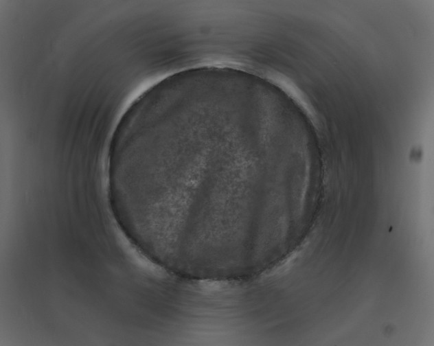 X0000094941032200712131555