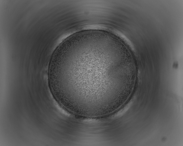 X0000094941033200712131555