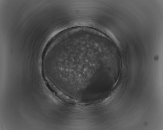 X0000094941035200712131555