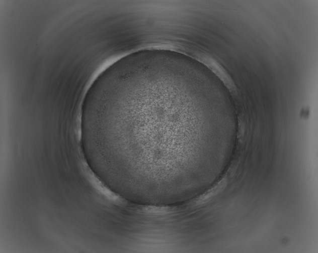 X0000094941036200712131555