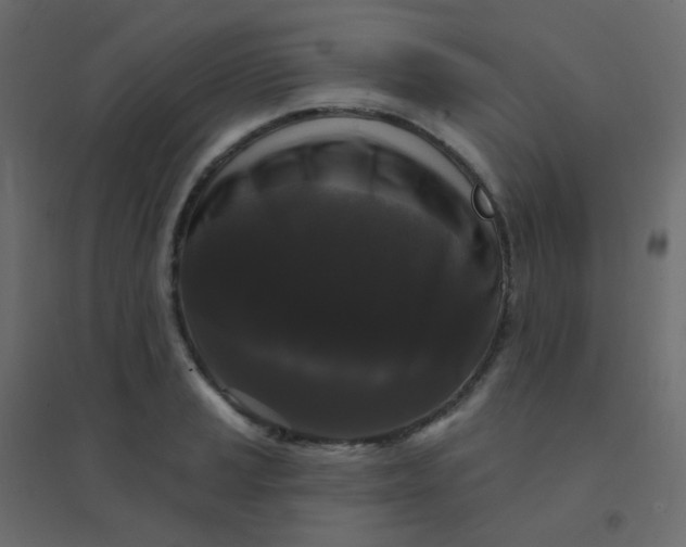 X0000094941037200712131555