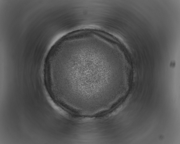 X0000094941038200712131555