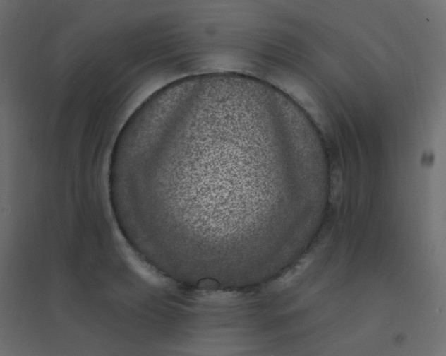 X0000094941039200712131555