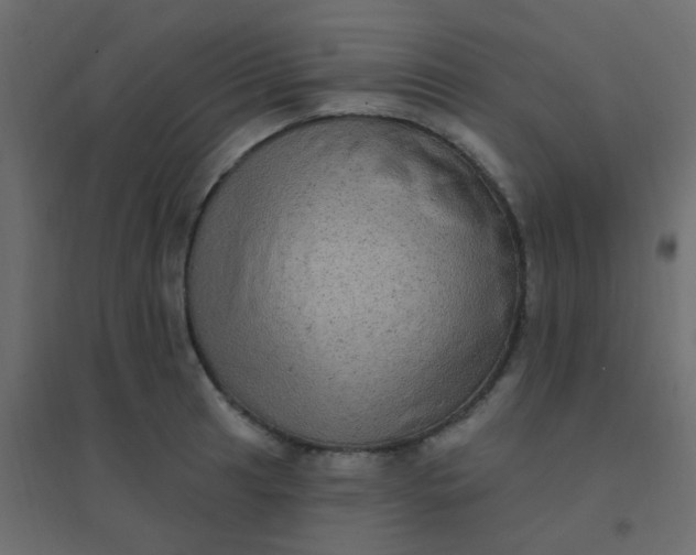 X0000094941041200712131555