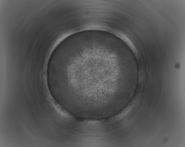 X0000094941043200712131555