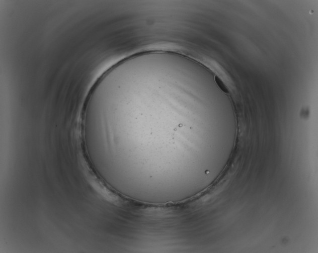 X0000094941044200712131555