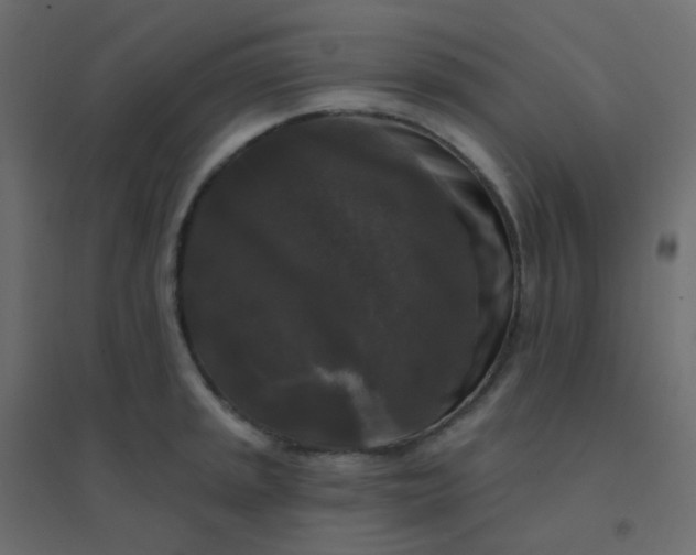 X0000094941045200712131555