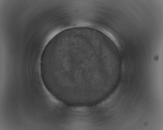 X0000094941047200712131555