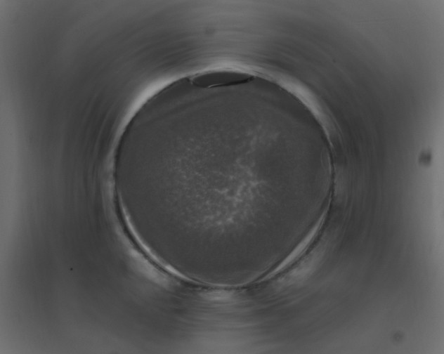 X0000094941048200712131555