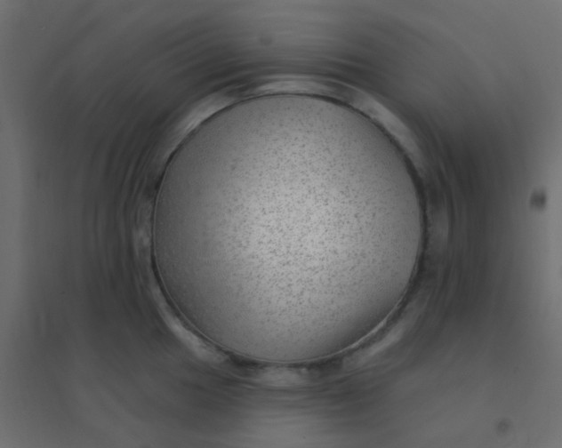 X0000094941049200712131555