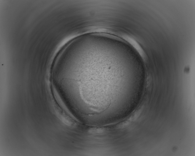 X0000094941051200712131555