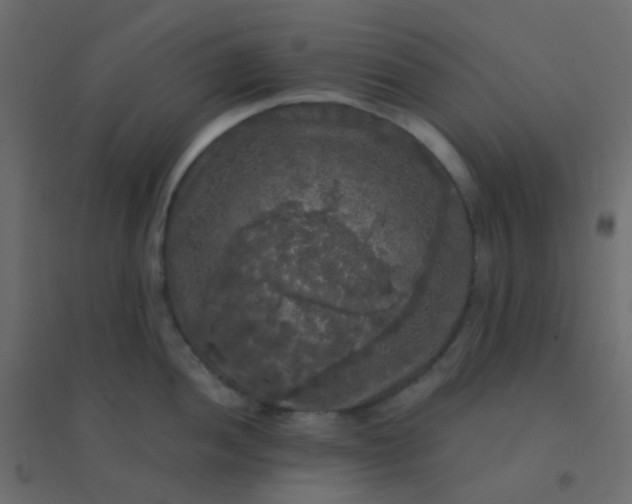 X0000094941052200712131555