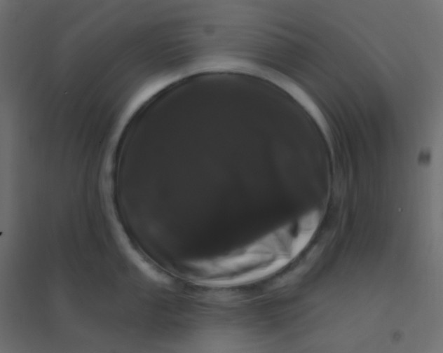 X0000094941053200712131555