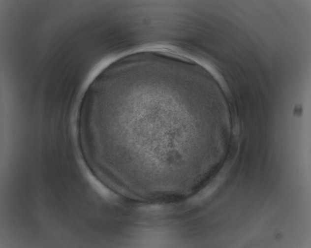 X0000094941054200712131555