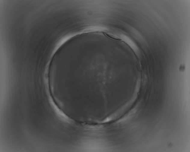 X0000094941055200712131555