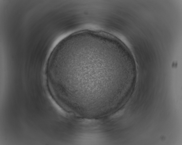 X0000094941056200712131555