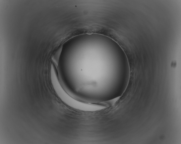 X0000094941058200712131555