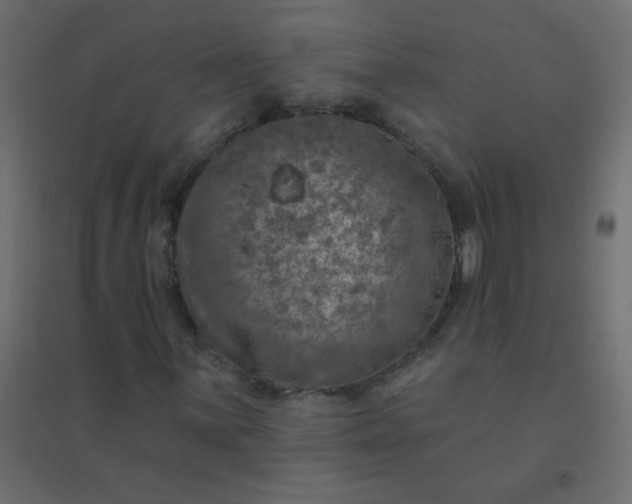 X0000094941059200712131555