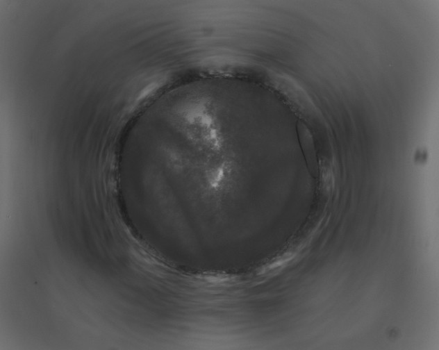 X0000094941060200712131555