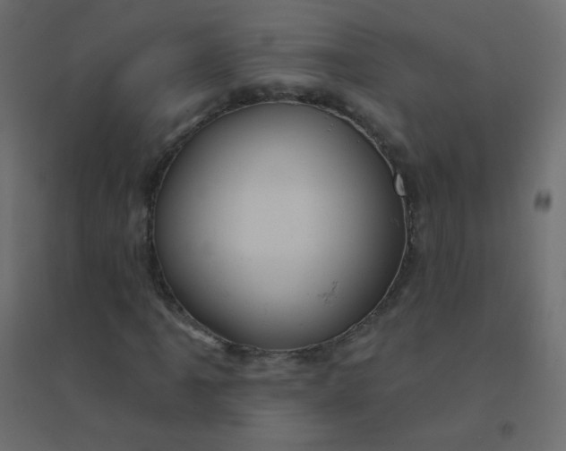 X0000094941061200712131555